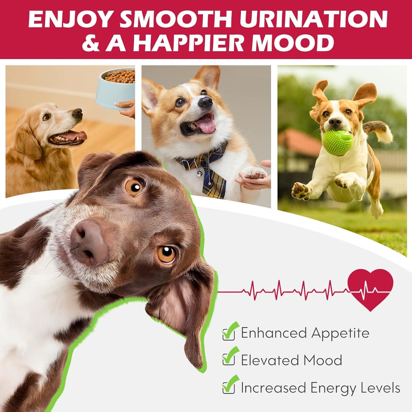 Xsvseie Urinary Tract Support Drops for Dogs, 60ml Dropper Bottle