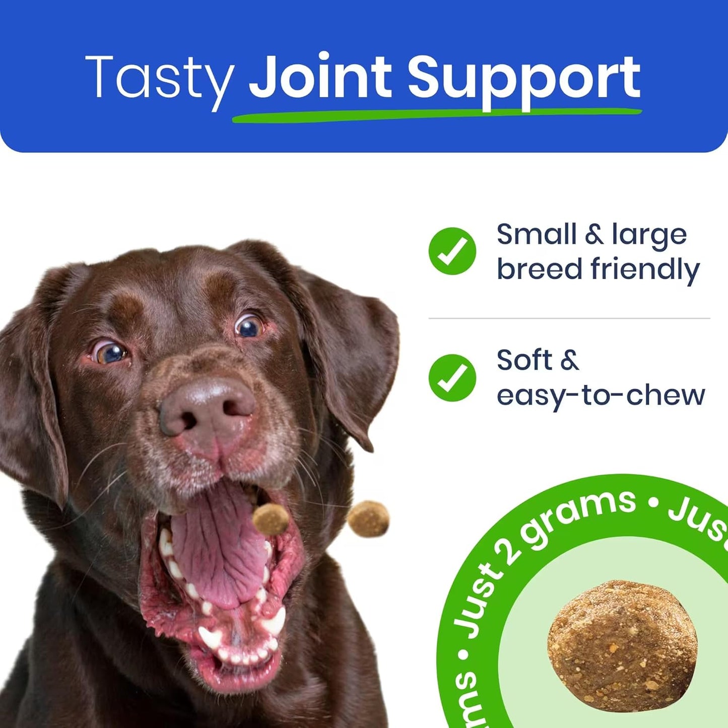 BARK&SPARK Hip & Joint Supplement for Dogs, 60 Soft Chews