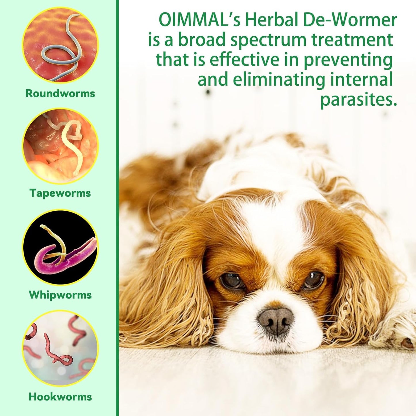 Oimmal Natural Liquid Wormer Drops for Dogs, 60ml Dropper Bottle