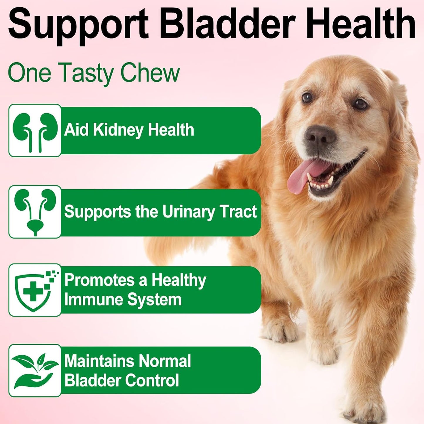 Oimmal Urinary Tract Support Drops for Dogs, 60ml Dropper Bottle