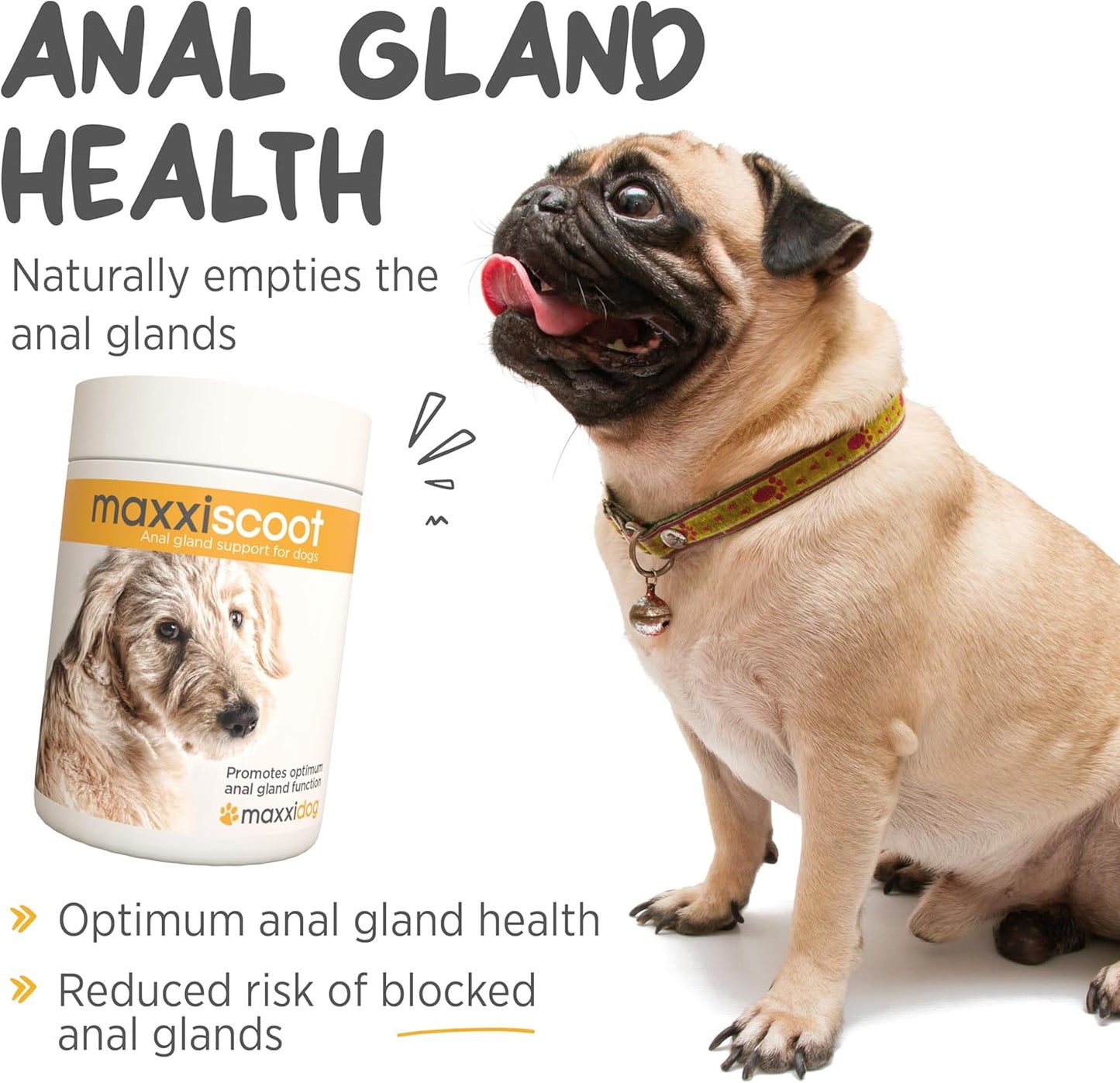 maxxipaws Anal Gland & Digestive Health Support Powder for Dogs, 140g