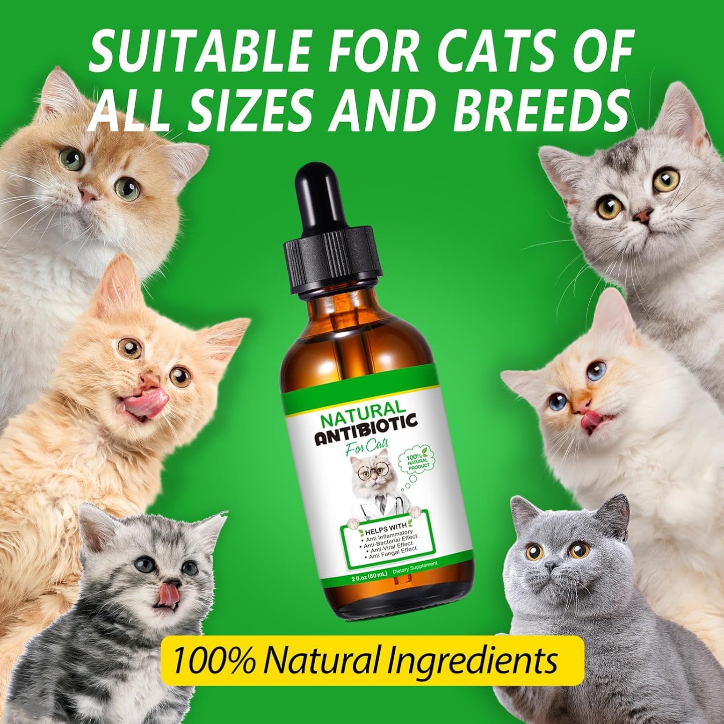 Oimmal Antibiotic Drops for Cats, 60ml Dropper Bottle