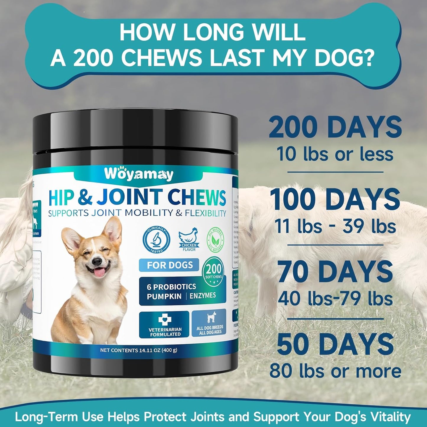 Woyamay Hip and Joint Supplements for Dogs, 200 Soft Chews