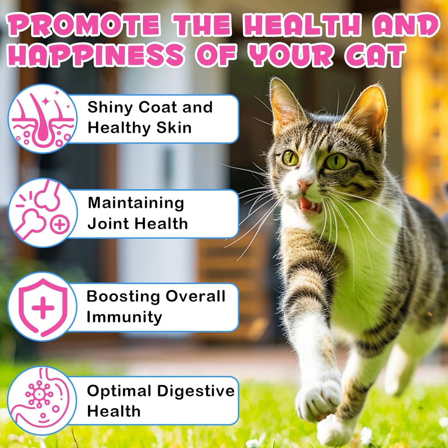 Oimmal Collagen Drops for Cats, 60ml Dropper Bottle