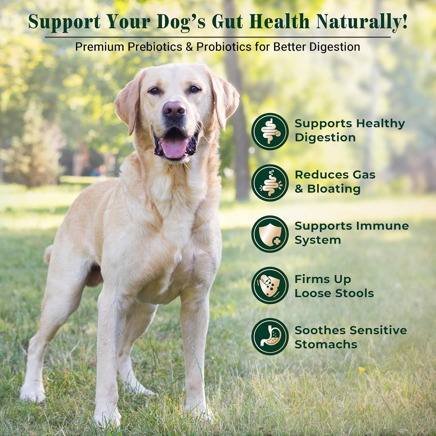 EQ K9 Digestive Care Prebiotics & Probiotics for Dogs, 120 Tablets