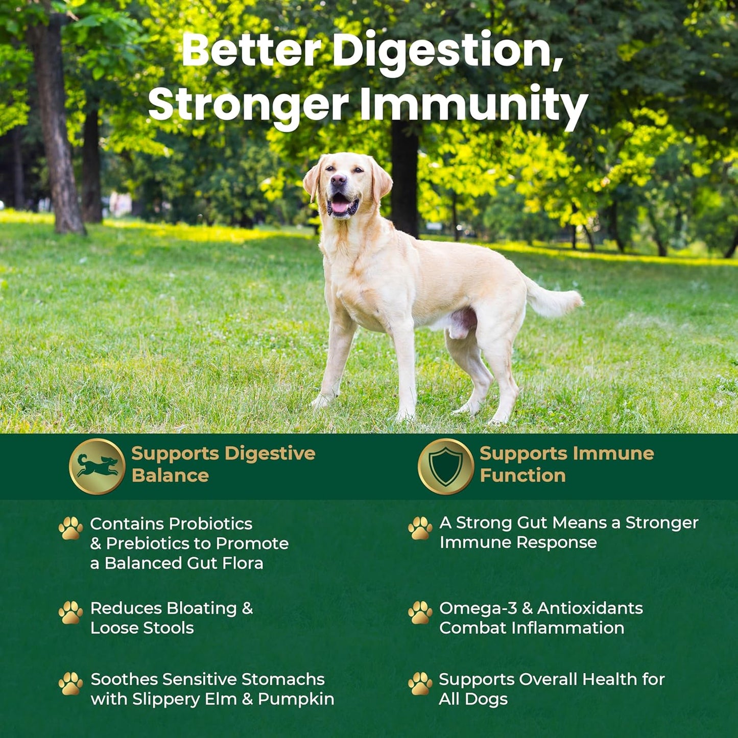 EQ K9 Digestive Care Prebiotics & Probiotics for Dogs, 120 Tablets